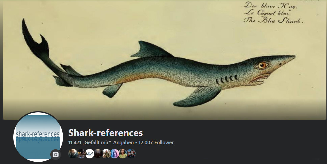 Facebook Shark-references